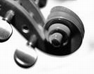 Musica e Concerti